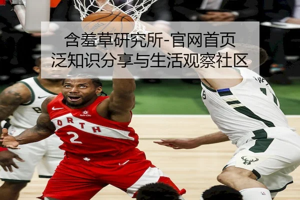 含羞草研究所-官网首页 泛知识分享与生活观察社区